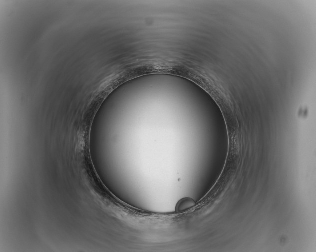 X0000096150032200801251115