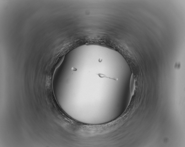X0000096150033200801251115