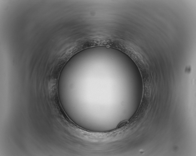 X0000096150034200801251115