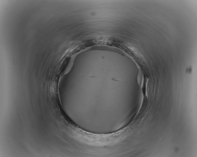 X0000096150035200801251115