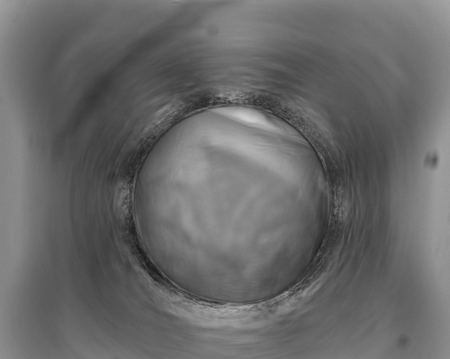 X0000096150036200801251115