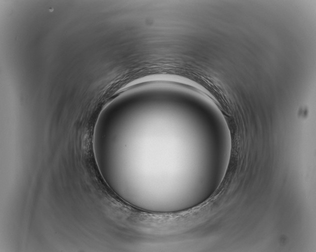 X0000096150037200801251115