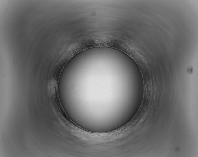 X0000096150038200801251115