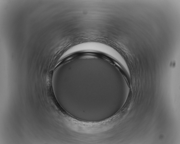 X0000096150039200801251115