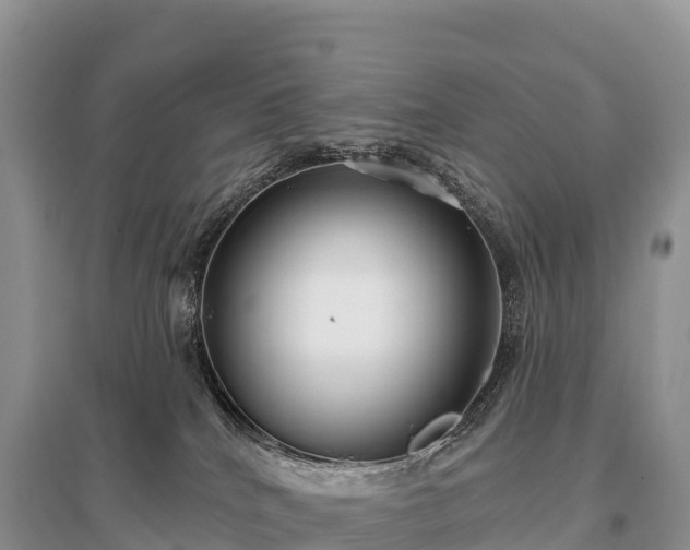 X0000096150040200801251115
