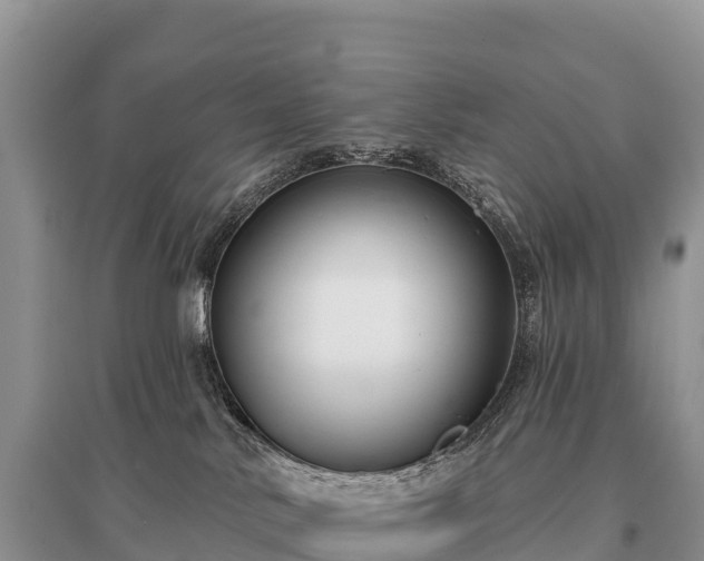 X0000096150042200801251115