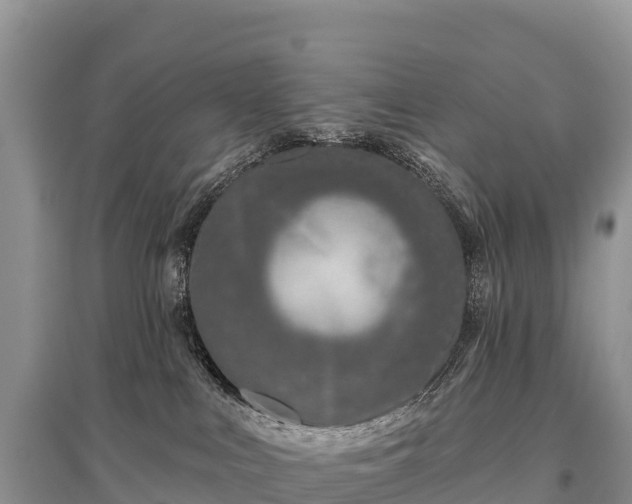 X0000096150043200801251115