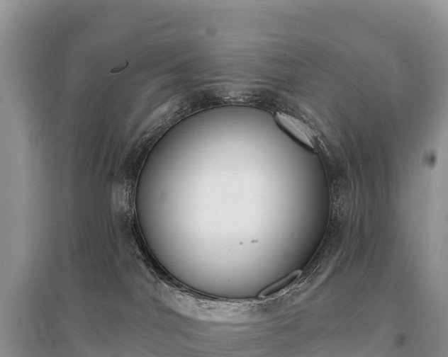 X0000096150044200801251115