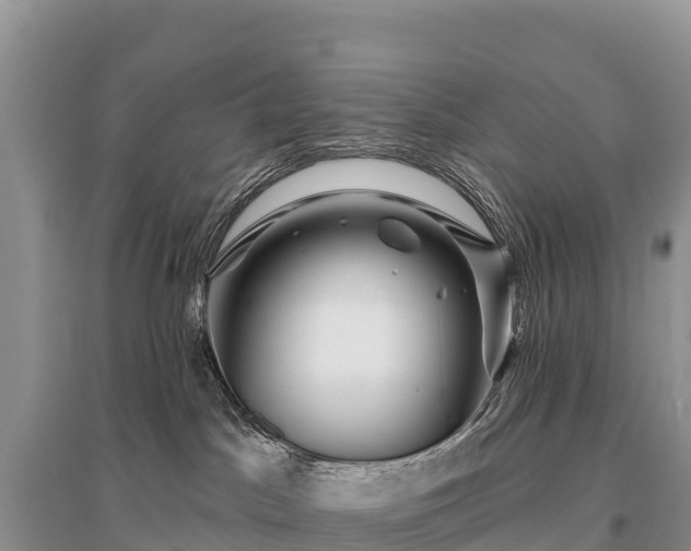 X0000096150045200801251115