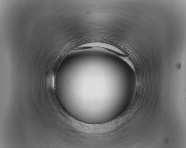 X0000096150046200801251115