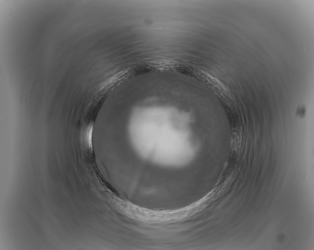 X0000096150047200801251115