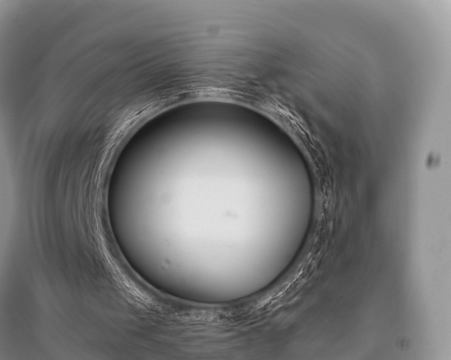 X0000096150049200801251114