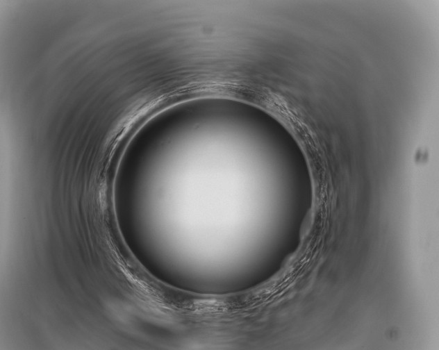 X0000096150050200801251114