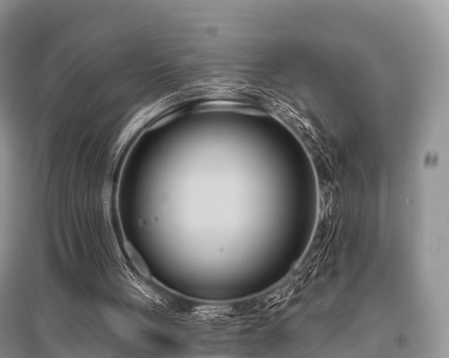 X0000096150051200801251114
