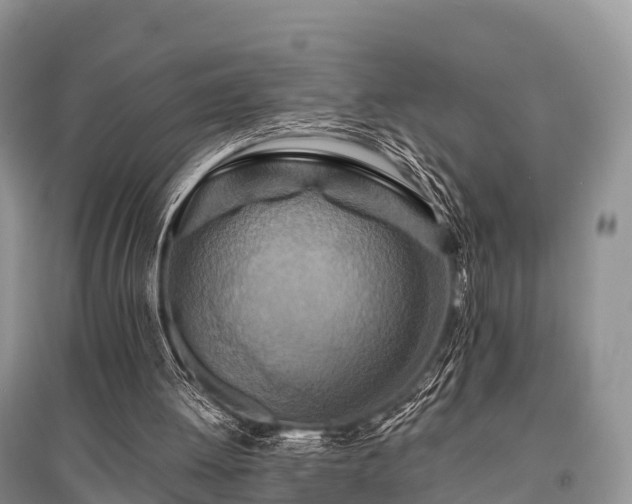 X0000096150052200801251114