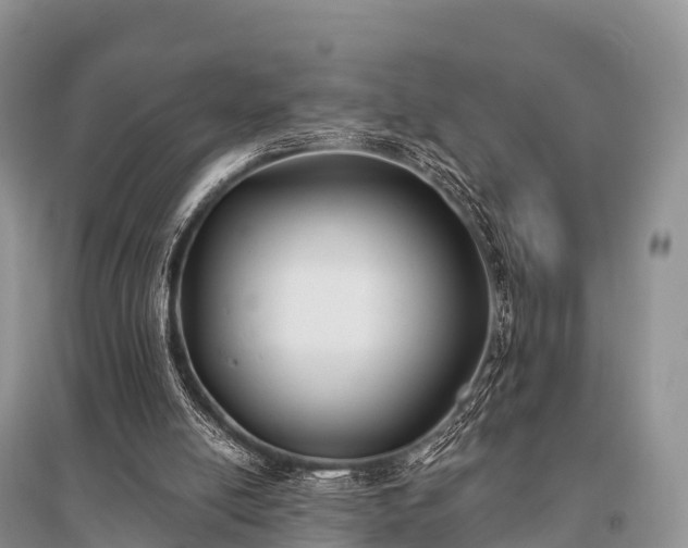 X0000096150054200801251114