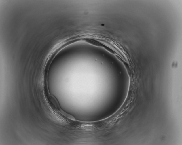 X0000096150055200801251114