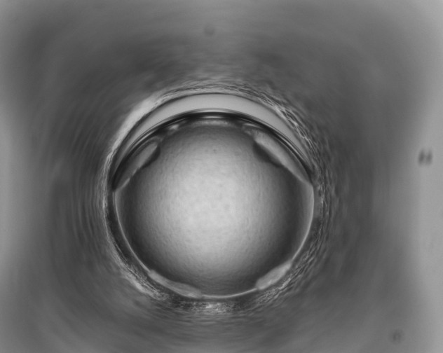 X0000096150056200801251114