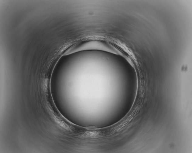X0000096150057200801251114