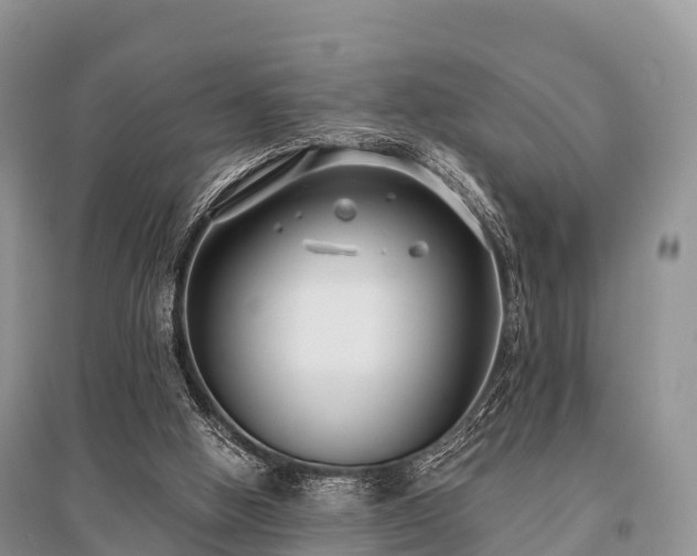 X0000096150058200801251114