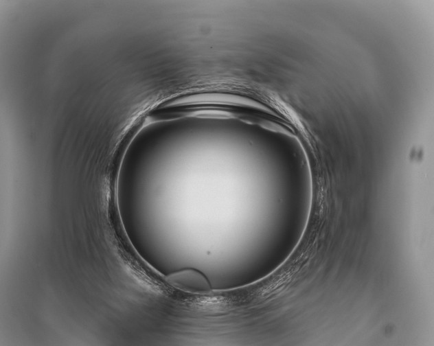 X0000096150059200801251114