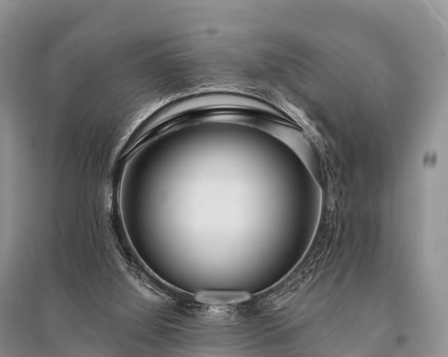 X0000096150060200801251114
