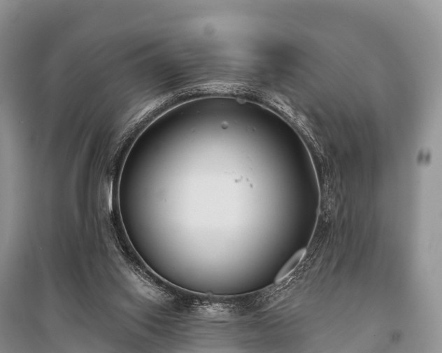 X0000096150062200801251114