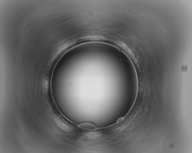 X0000096150063200801251114