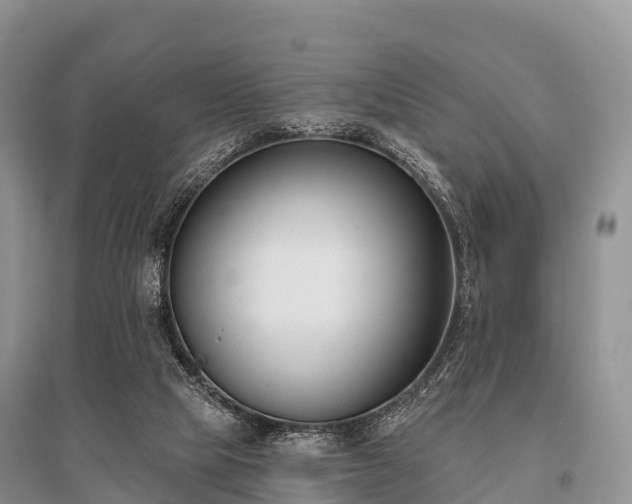 X0000096150065200801251114