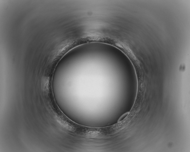 X0000096150066200801251114
