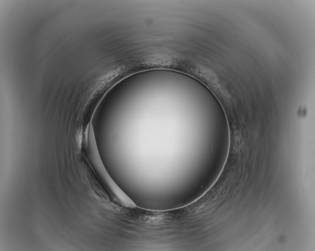 X0000096150068200801251114