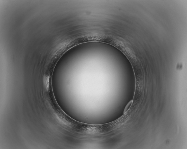X0000096150070200801251114