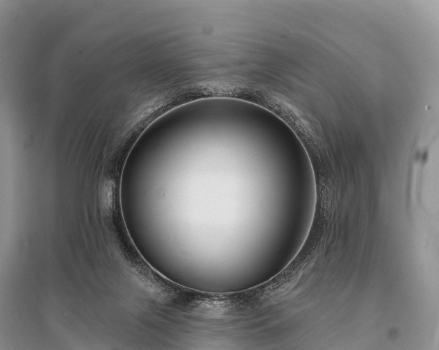 X0000096150071200801251114