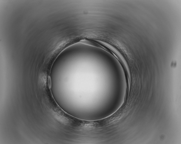 X0000096150072200801251114