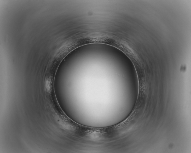 X0000096150074200801251114