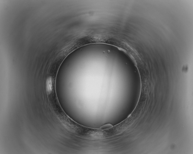 X0000096150075200801251114