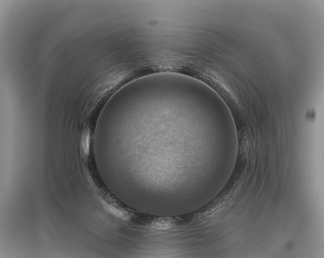 X0000096150076200801251114