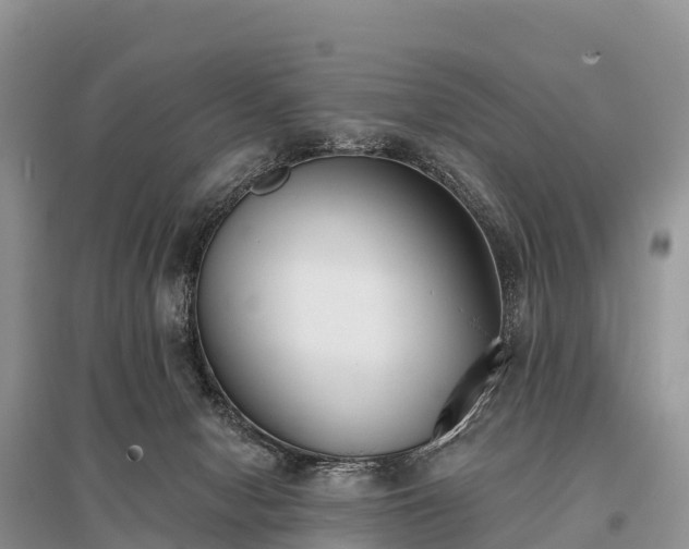 X0000096150078200801251114