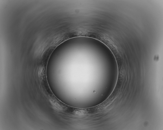 X0000096150079200801251114