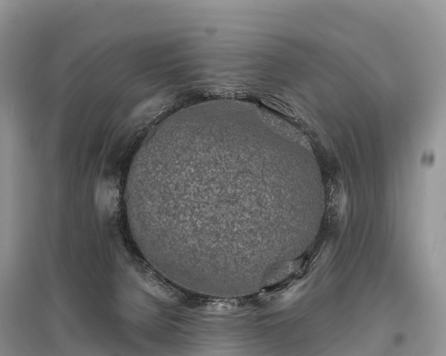 X0000096150080200801251114