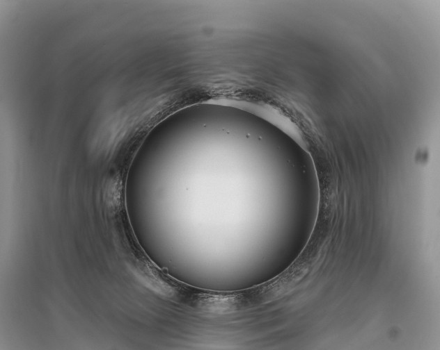 X0000096150081200801251114