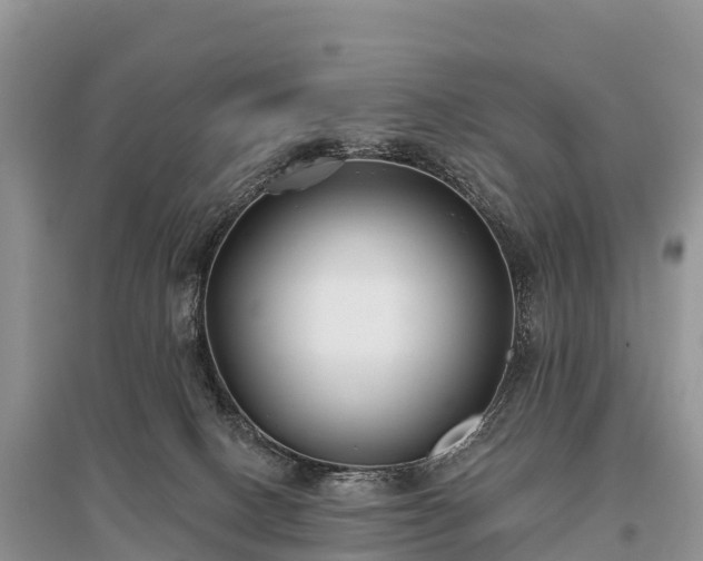X0000096150082200801251114