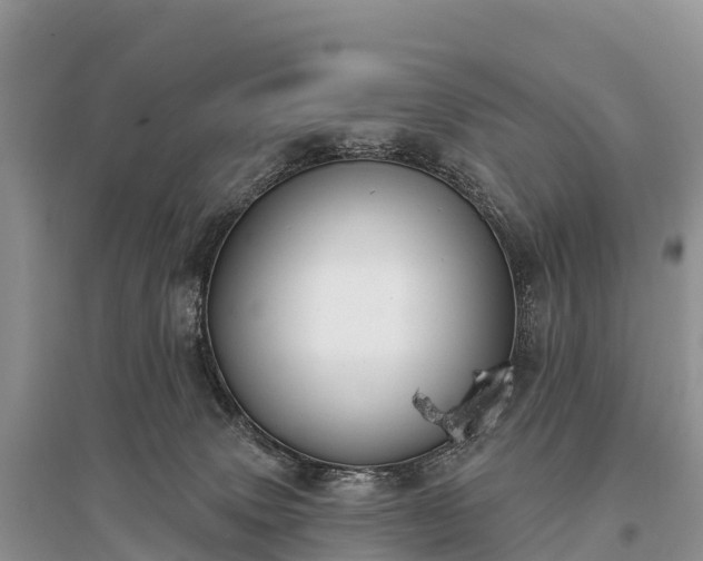 X0000096150083200801251114