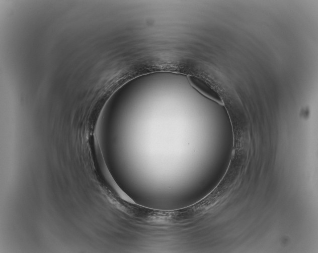 X0000096150084200801251114