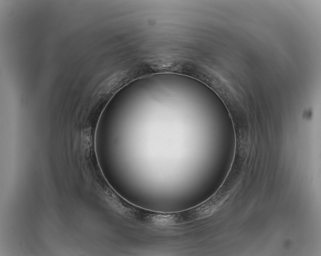 X0000096150085200801251114