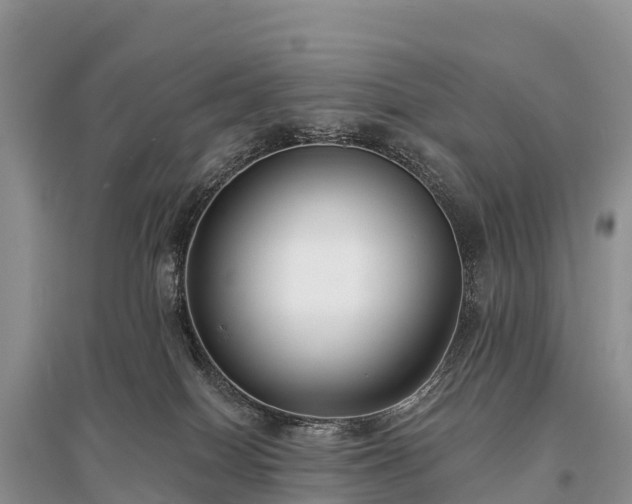 X0000096150086200801251114