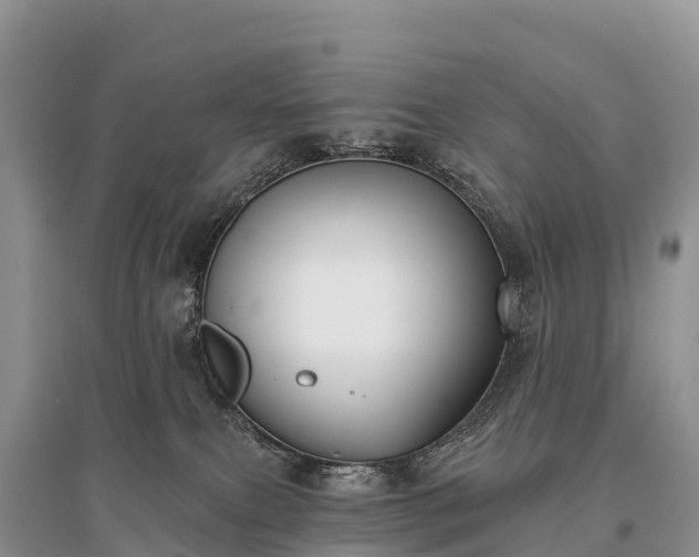 X0000096150087200801251114