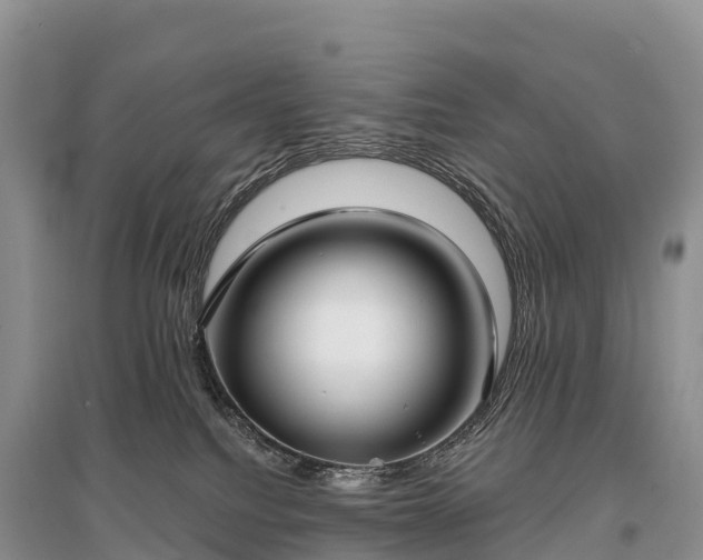 X0000096150088200801251114