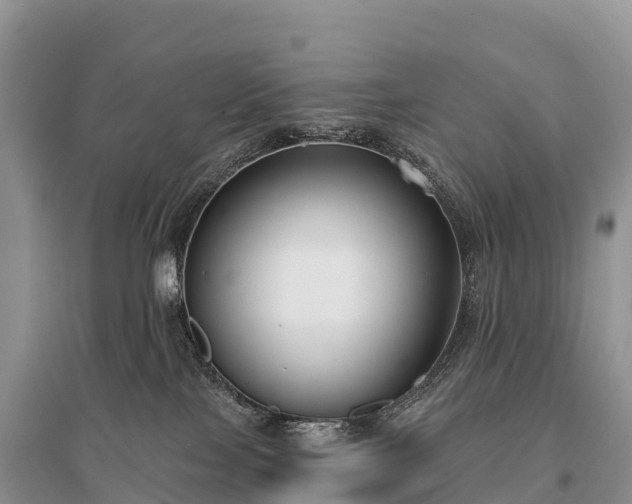 X0000096150089200801251114
