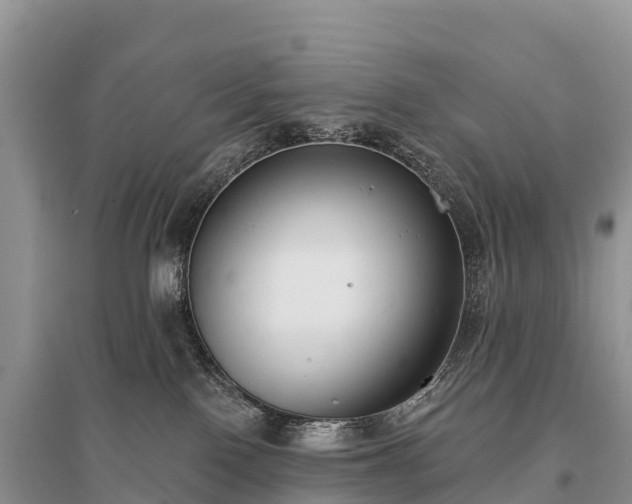 X0000096150090200801251114